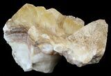 Dogtooth Calcite Crystal Cluster - Morocco #57376-1